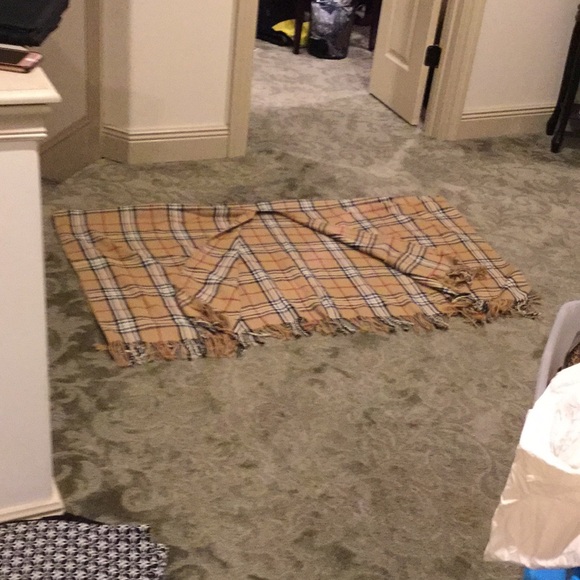 Poncho - Picture 2 of 7